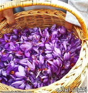 Iranian saffron is the largest consumer, African unidentified red gold