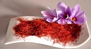 "Ijrud" is suitable for the cultivation of saffron