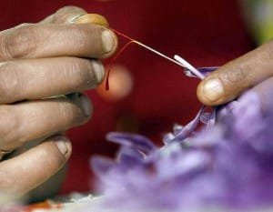 One MP: Iranian saffron in the world, the UAE offered saffron