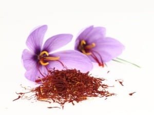 3-fold increase in the cultivation of saffron in Kermanshah