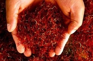 13 tons of bulk export saffron to Spain