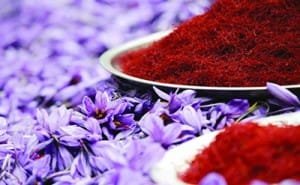 price of saffron, , mancha saffron, saffron , iranian saffron