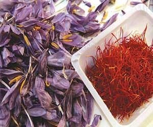 importer saffron in OHIO,price of iranian saffron in OHIO,OHIO city saffron,sale saffron in OHIO,saffron market in OHIO