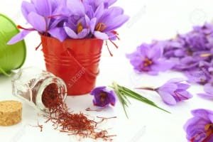 Saffron, is a way to avoid ecological disaster