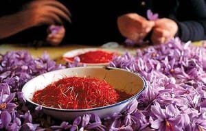 Saffron exports $ 60 million to 44 countries