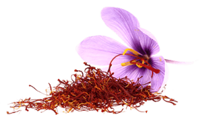 Saffron,saffron price, saffron companies,saffron iran,Persian saffron