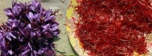 saffron iran in usa,Persian saffron in usa,red saffron in usa,Iranian saffron in usa,buy saffron in usa