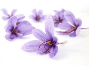 The need to export saffron