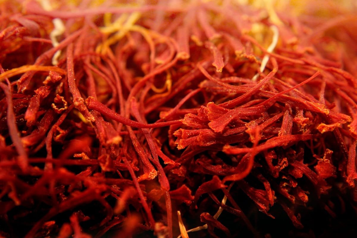 increase-of-330-hectares-of-saffron-cultivation-area-in-north-khorasan