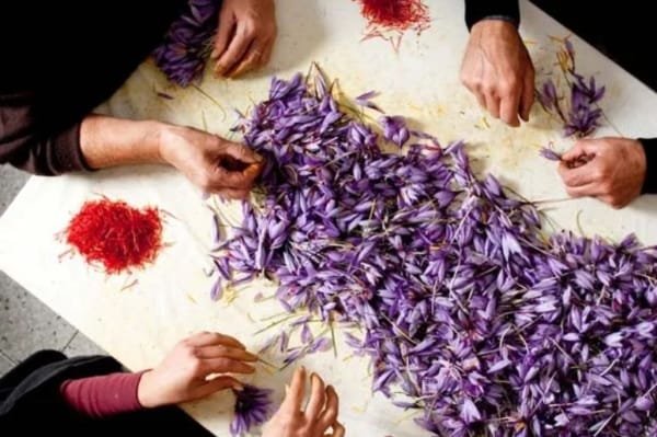 Saffron Negin for Cooking