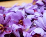 Saffron for Wellness