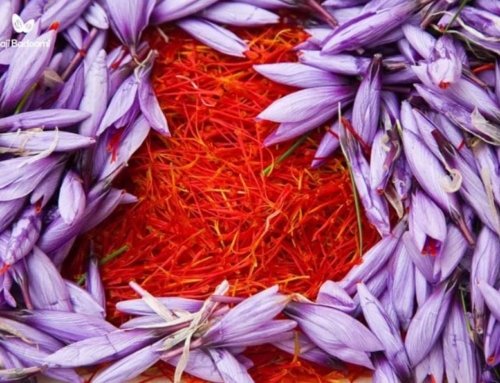 Saffron for Alzheimer’s: A Natural Remedy?