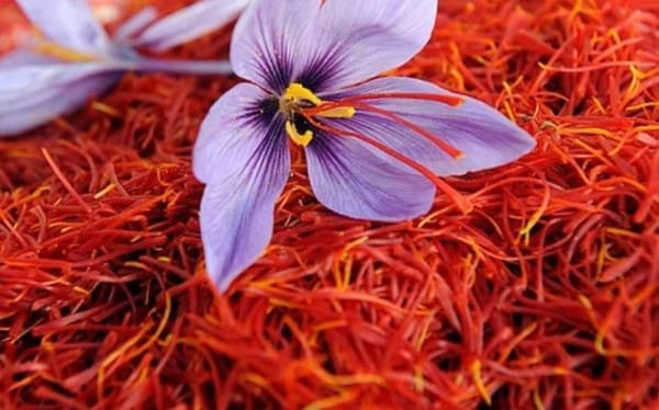 Saffron for Flavoring