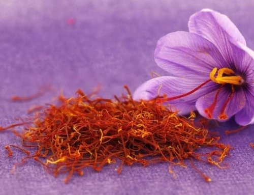 The Impact of Saffron on Heart Health