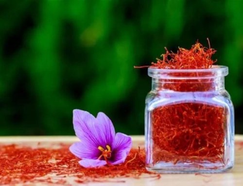 What is Saffron Bundle and What Are Its Uses?