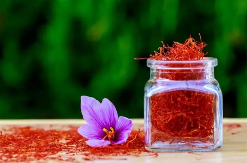 Saffron Bundle Benefits