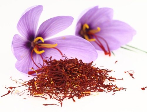 A Brief History of Saffron