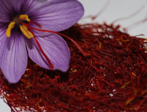 How to Identify Healthy Saffron?